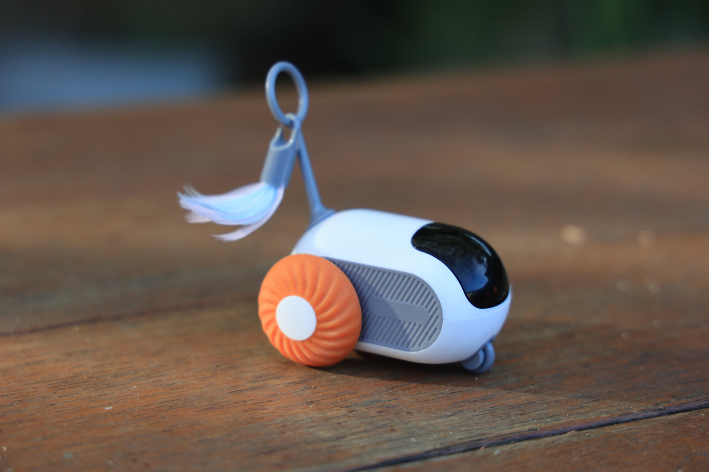 Automatic cat toy - remote car