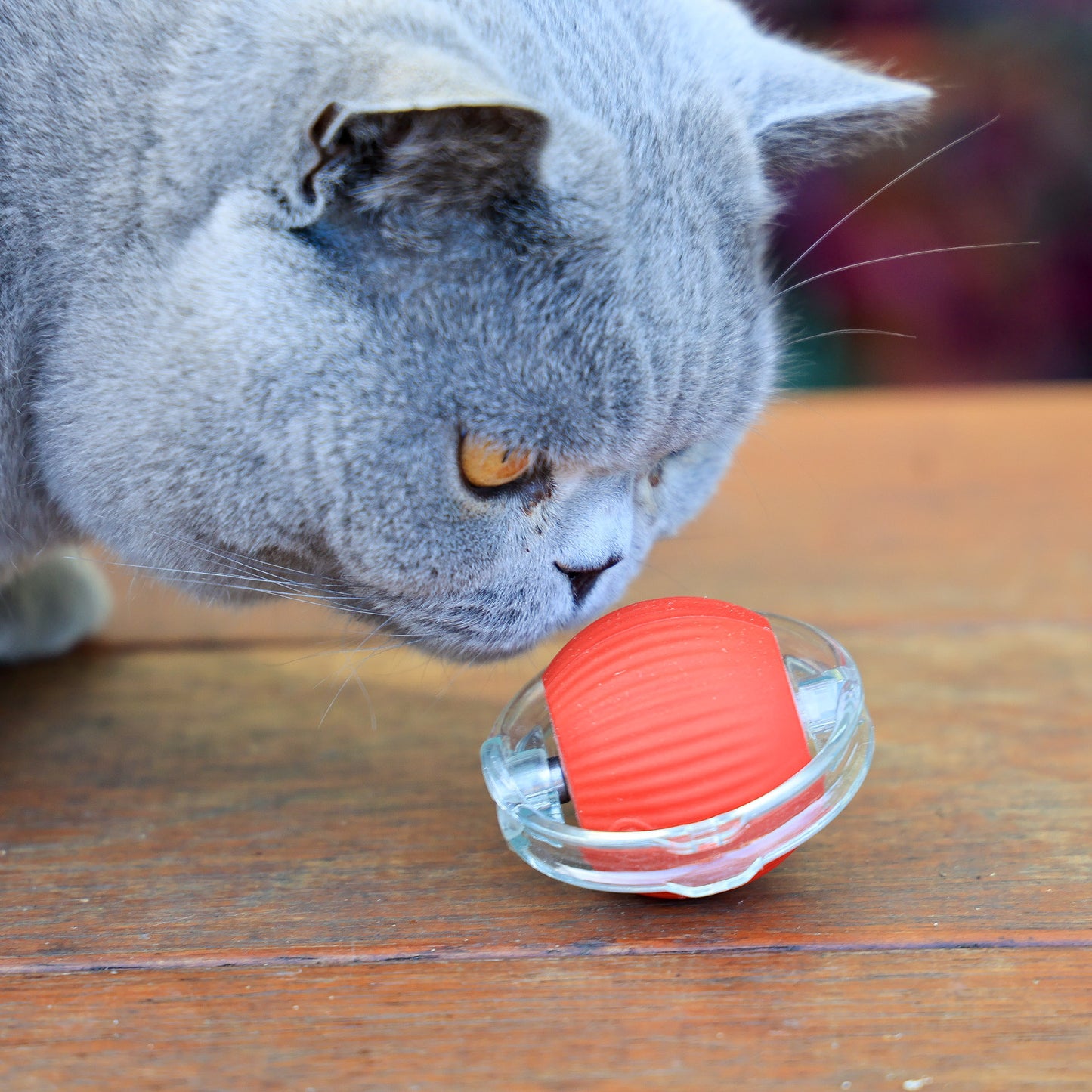 Smart running toy - multi attachment options