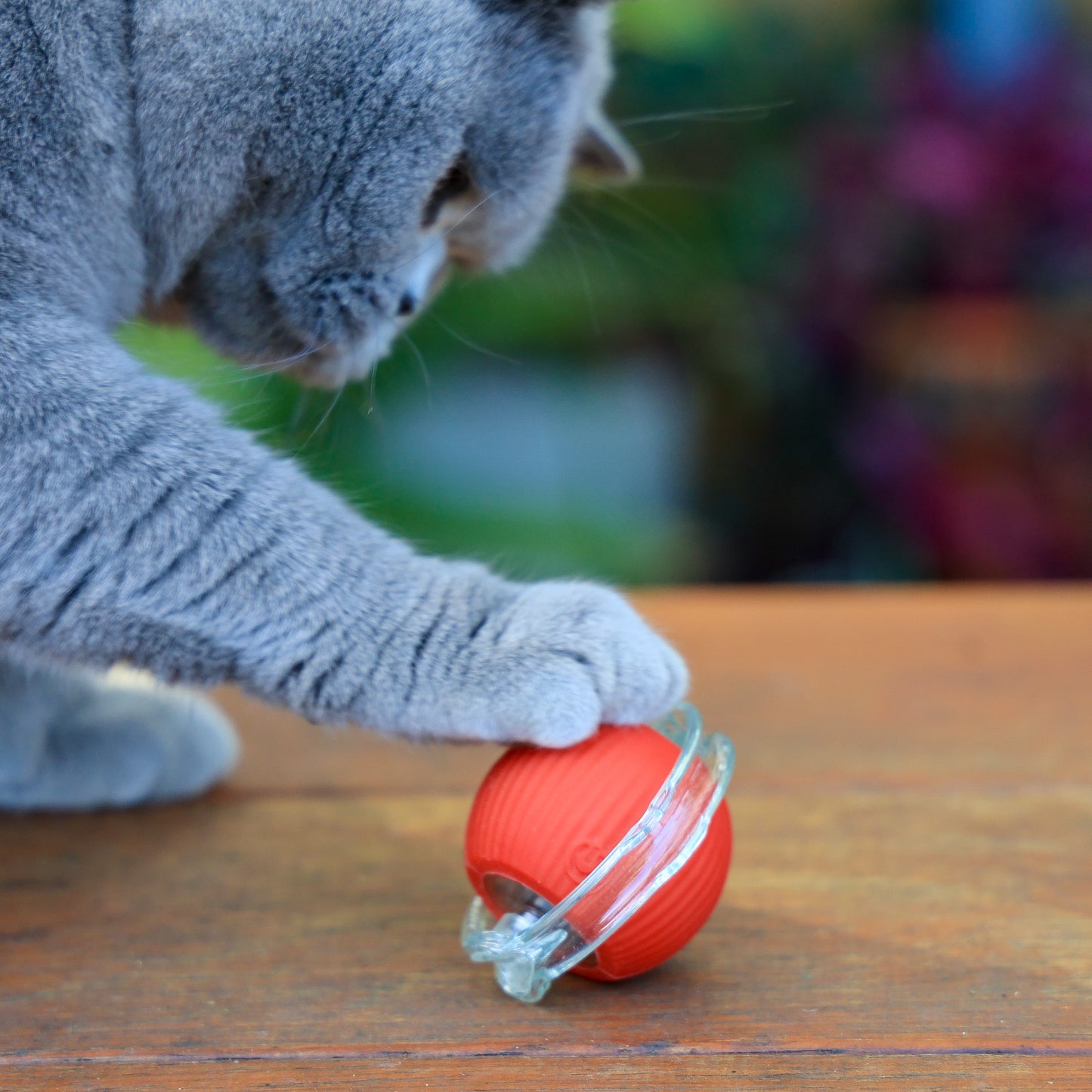 Smart running toy - multi attachment options