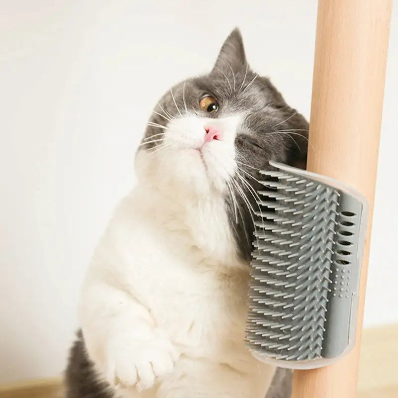 Pet Self Groomer