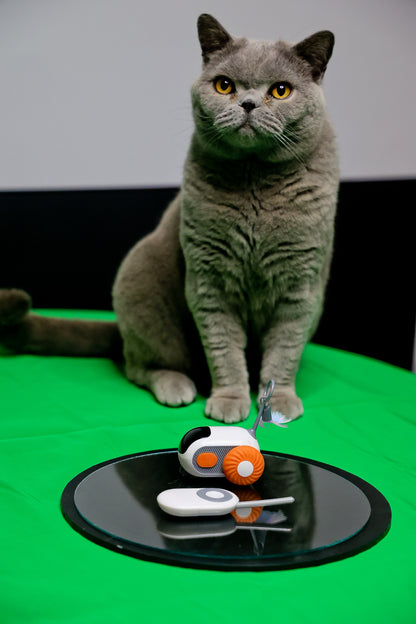 Remote Controlled Smart Cat Toy  - fun for cats, fun for people