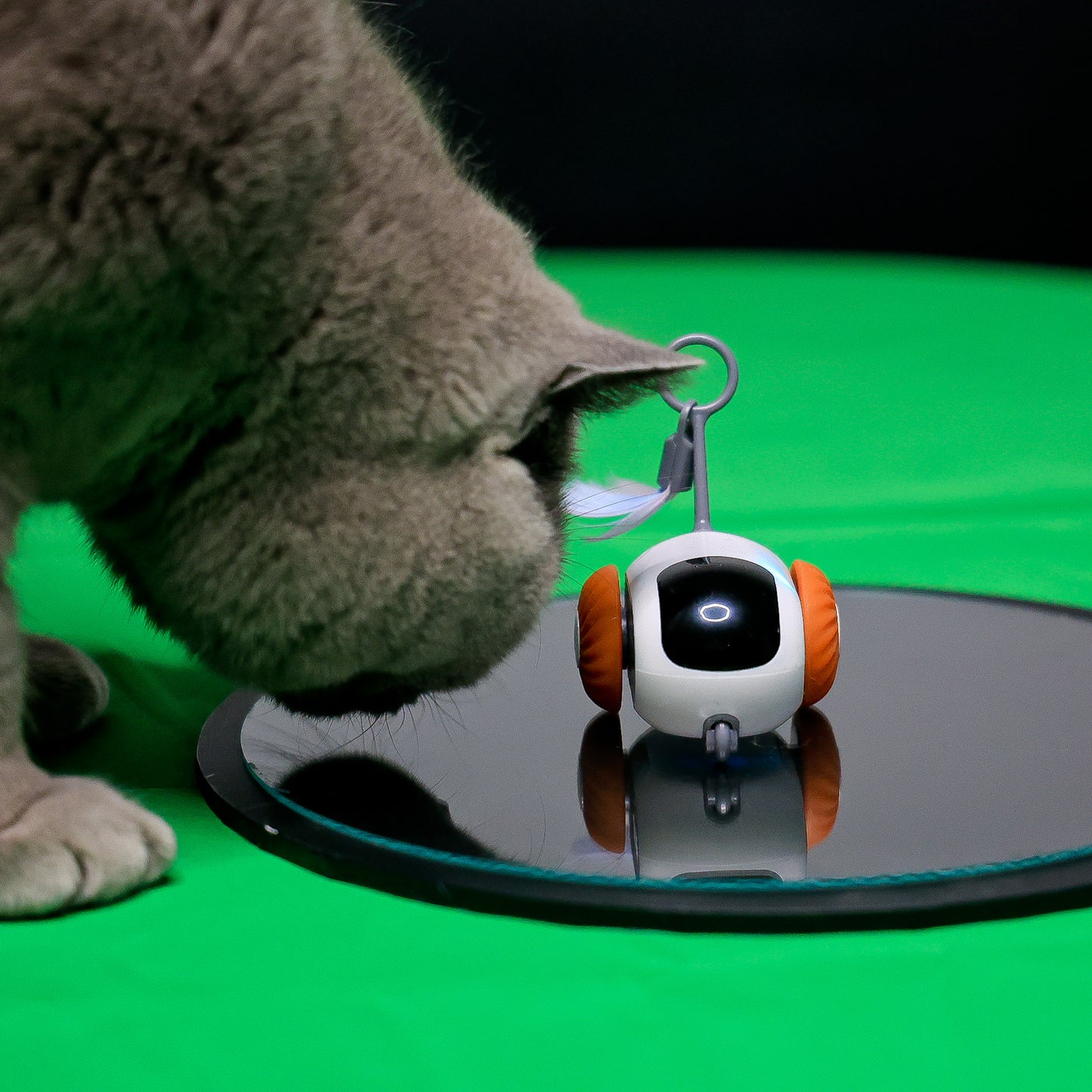 Remote Controlled Smart Cat Toy  - fun for cats, fun for people