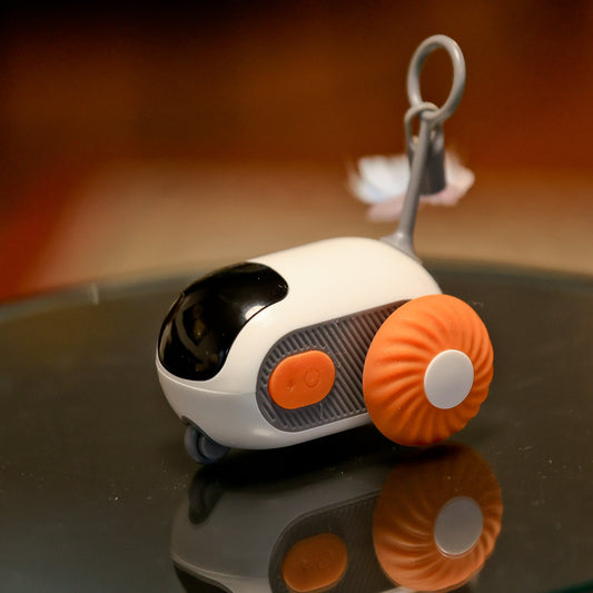 Automatic cat toy - remote car