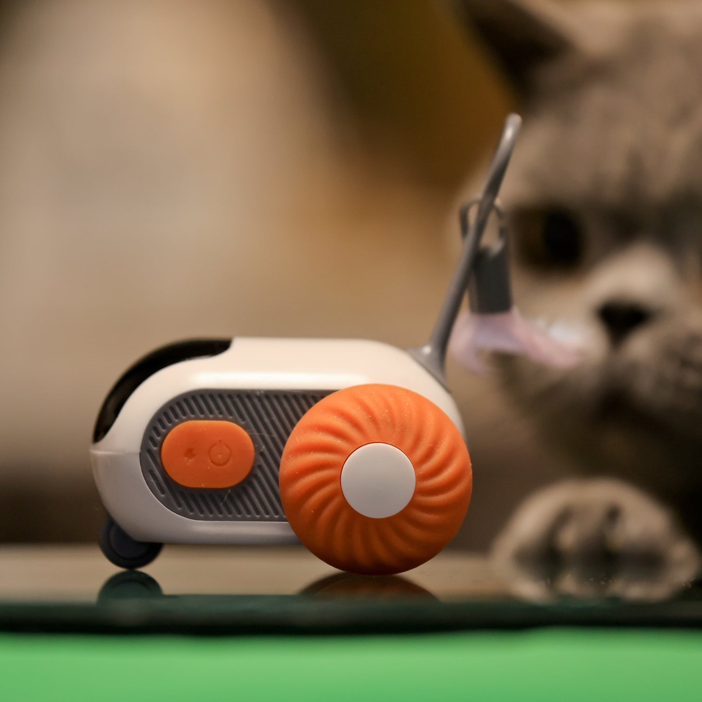 Remote Controlled Smart Cat Toy  - fun for cats, fun for people