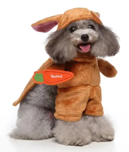 dog costumes