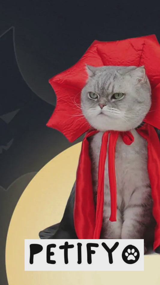 Vampire Cloak Pet Costume