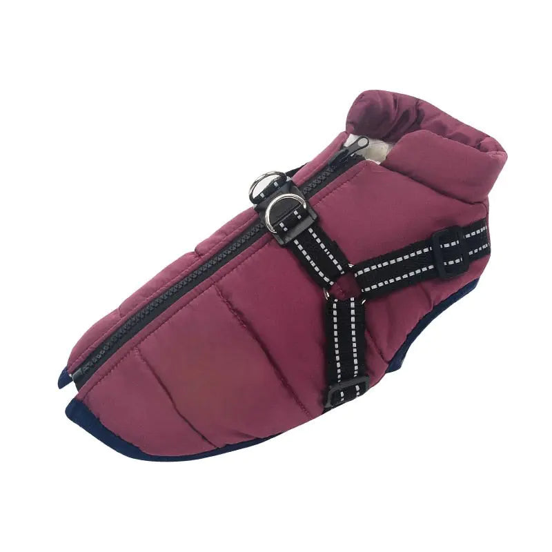 Waterproof Dog Jacket - 5 Colours, all sizes