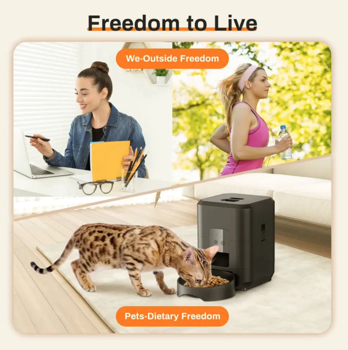 Automatic Pet Feeder